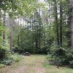 Day Lake Campground