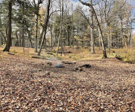 Eagle Campground