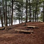 Chipmunk Campground