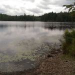 Wolf Campground