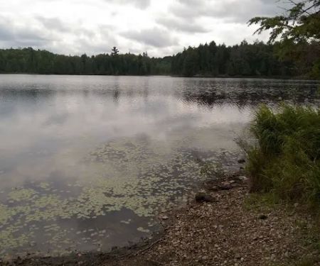 Wolf Campground