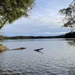 Mink Campground