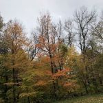 Baker Campground