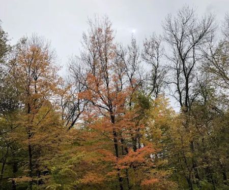 Baker Campground