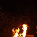 Cedar Campsite