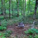 Cedar Campground
