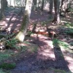 Balsam Campground
