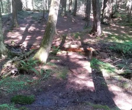 Balsam Campground
