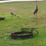 Savannas Recreation Area