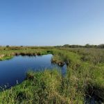 Gulf State Park Campground