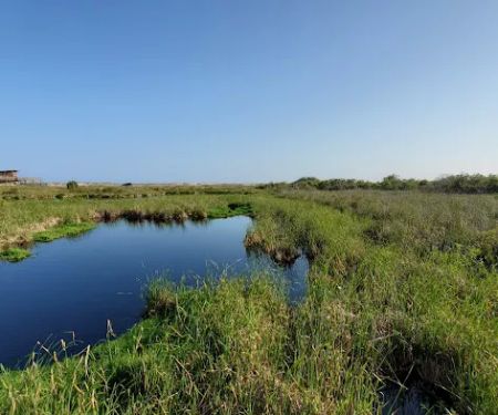 Gulf State Park Campground