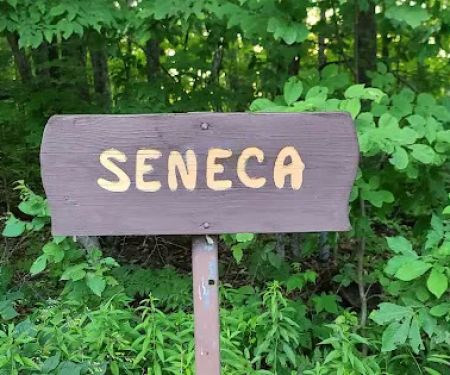 Seneca Campsite