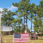 Camp American Dream