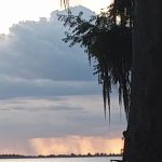 Mossy Cove Fish Camp