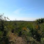 Prairie Primitive Campsite