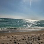 Turtle Beach Campground