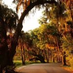 Myakka River State Park Youth Camp
