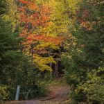 Union River Outpost Campground
