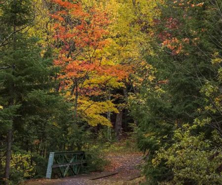 Union River Outpost Campground