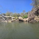 Mother Nature's Riverfront Retreat