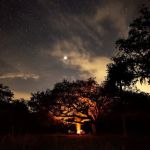 Micco Landing Campsite