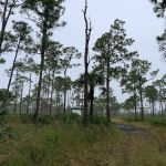 Kitching Creek Campground