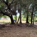 Delaware Campsite