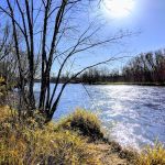 Thayers Landing
