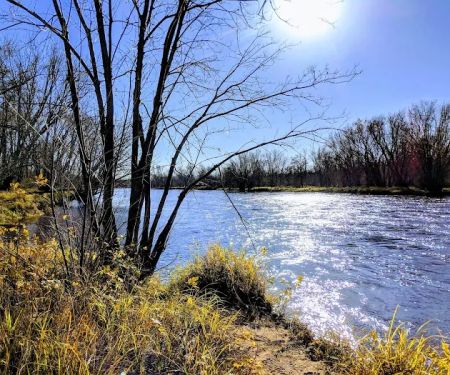 Thayers Landing