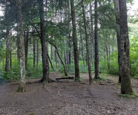Bois Brule Campground