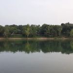 Campground #2