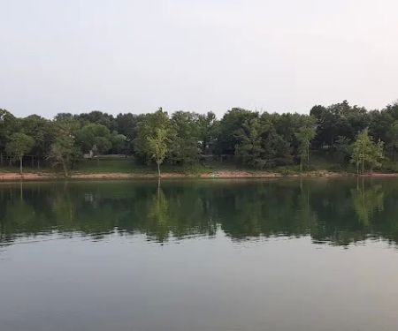 Campground #2