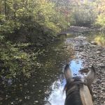 Boston Mountain Horse Camp