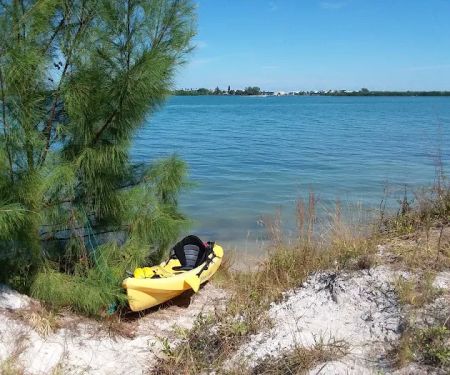 Dog Island