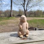 Sand Creek Landing