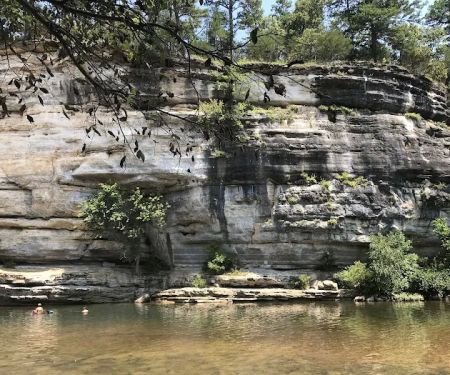 Ozark Campground