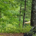 Cavers Camp