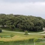 Dammann Oaks Campground