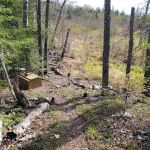 Lone Tree Camp