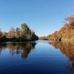 Honey Creek Hideaway