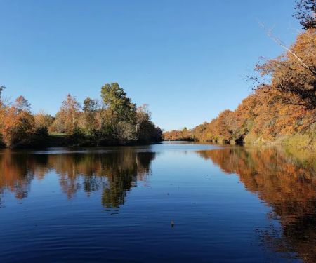 Honey Creek Hideaway