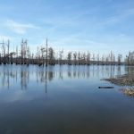 Greens Lake Camp