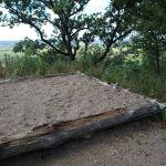 Cottonwood Campsite