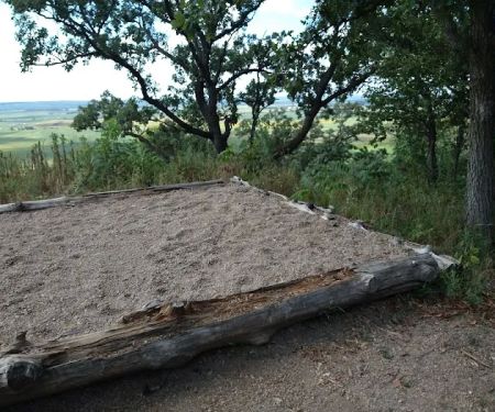 Cottonwood Campsite