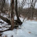 Group Campground