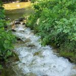 Lower Campground
