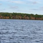Black Creek RV Park