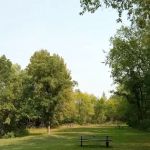 Group Camp