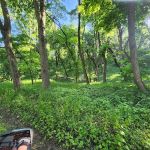 Big ELK PARK