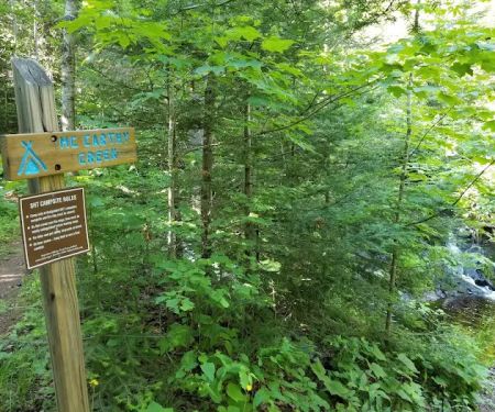 McCarthy Creek Camp